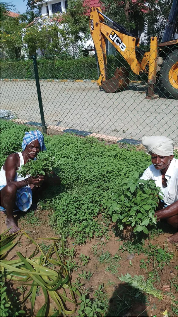 The organic farm at Lancor Harmonia