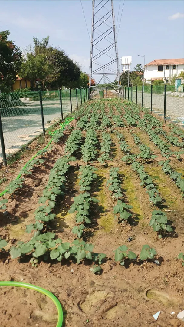 The organic farm at Lancor Harmonia